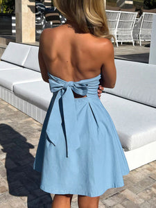 Devine Bow Back Tube Mini Dress Trendsi