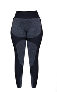 Plus Charcoal Seamless 2 Tone Contour Leggings